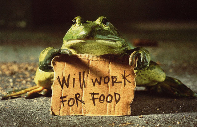 Как называется когда работаешь бесплатно. frog will work for food. Как называется когда работаешь бесплатно фото. Как называется когда работаешь бесплатно-frog will work for food. картинка Как называется когда работаешь бесплатно. картинка frog will work for food