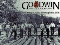 goodwin-preview