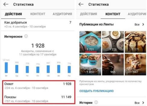 Статистика бизнес-страницы Instagram